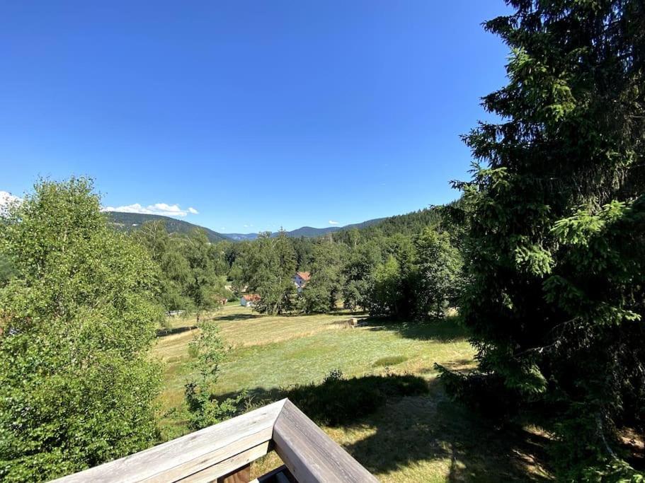 Le Chalet Des Coeurs Le Tholy Eksteriør bilde
