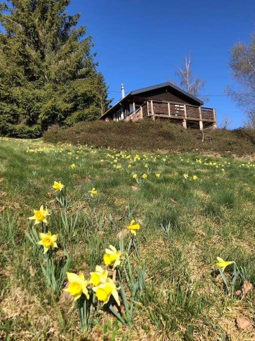 Le Chalet Des Coeurs Le Tholy Eksteriør bilde